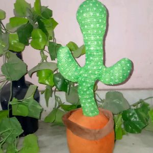 Dancing Cactus