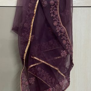 Elegant PartyWear Lehenga With Designer Blouse