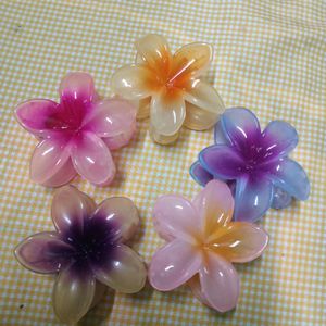 Set Of 5 Flower Hair Cluther