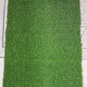 Grass Door Mat