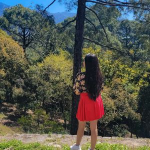 Red Mini Skirt