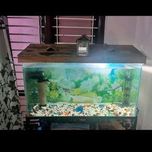 Fish Tank