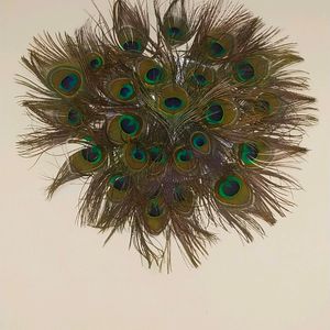 Wall Decorating Peace With Peacock Feather