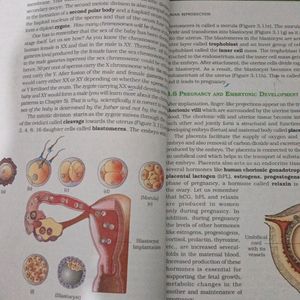 BIOLOGY Class XII NCERT