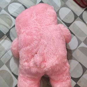 Pink Teddy Bear