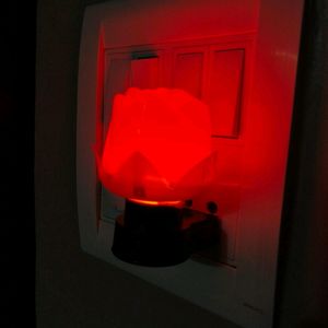 Red Rose Lamp