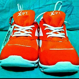 Athletes Sport Shoes for Players