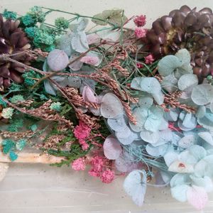 Dried Flowers With Box For Artwork