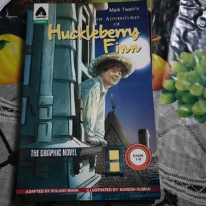 Huckleberry Finn  graphic novel book