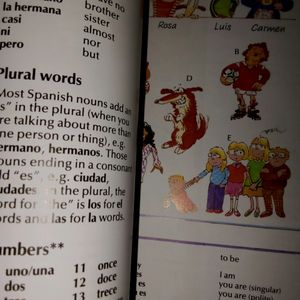 Spanish For Beginners