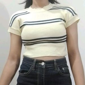 lemony Yellow  Fitted Crop Top