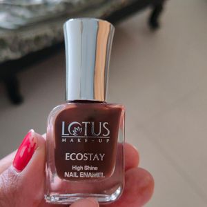 Lotus Herbals Ecostay Nail enamels Combo