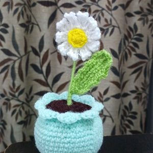 Cute Crochet Mini Daisy Flower Pot 🤍