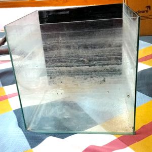 1 Feet Cube Glass Aquarium