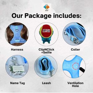 Dog Harness 5 In 1 Combo