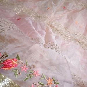 Organza Dupatta with silk embroidery