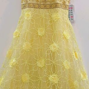 Gorgeous Net Gown