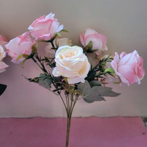 Light Pink Roses