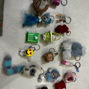 Key Chains Combo 15