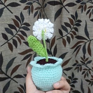 Cute Crochet Mini Daisy Flower Pot 🤍