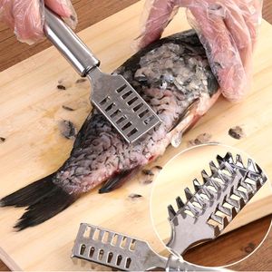 Fishing  Scale Remover Scraper Stainless Steel