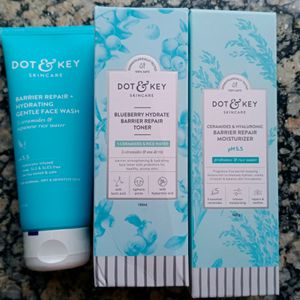 Dot & Key Barrier Repair Trio