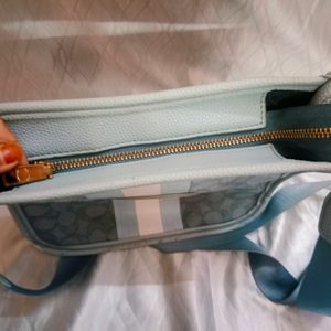 Aesthetic Coach Blue Leather Sling Bag