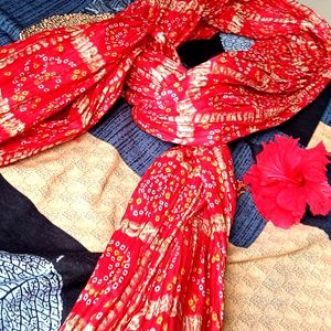 Scarf with Rajisthani Type Design