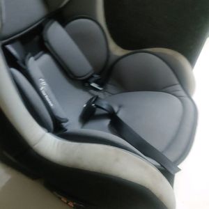 R For rabbit Car Seat