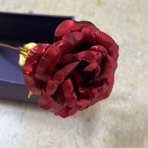 Beautiful Decorative Red Rose.