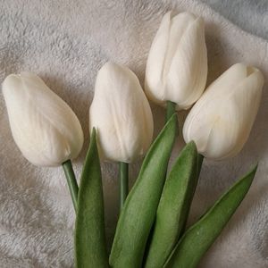 Aesthetic White Tulips Pack Of 4