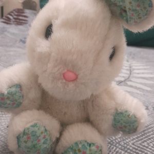 Rabbit 🐇