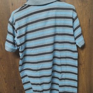 Blue Medium Size Men T-shirt