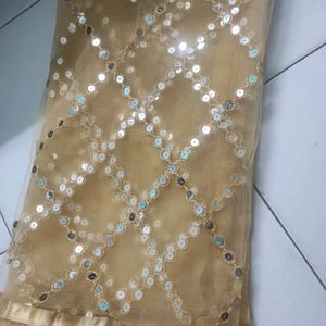 Beautiful Net Sequence Mirror Work Dupatta