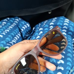 Beautiful Brown Sunglasses