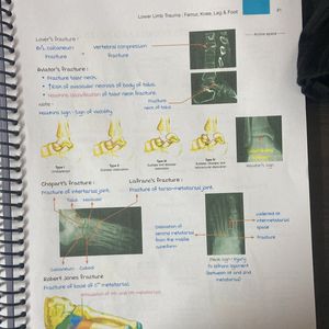 Orthopaedics Marrow Notes Edition 8