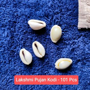 Original Lakshmi Pujan Kodi Shells 101 Pcs