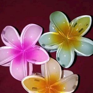 🌸 Hawaiian Hair Claws