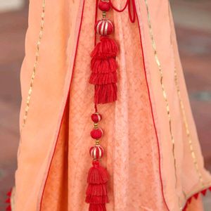 Aaheli Darshikha Peach Lehenga Coverup XXL