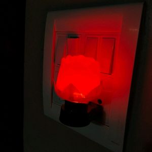 Red Rose Lamp