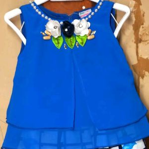 Top And Bottom Party Wear Set ( Girls )