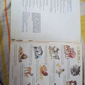 English Conversation + My Word Picture Book