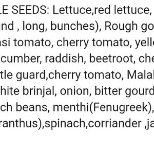 VEGETABLE SEEDS