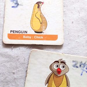 Animals Study Cards