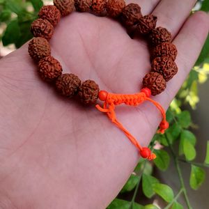 Panchmukhi Rudraksha Bracelet