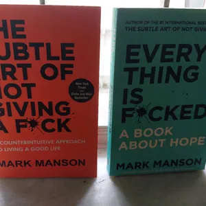 Mark Manson  Everything Is Fckd, Subtle Art