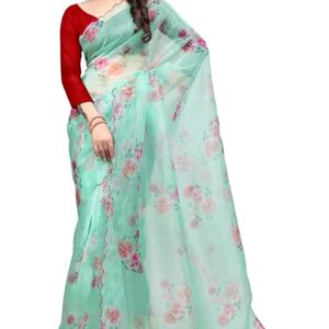 Beautiful Organza Saree