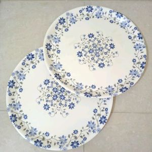 Melamine Ware 2 Dinner Plates