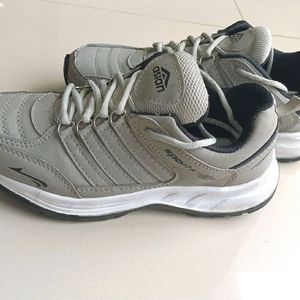 Asian Sports Shoes