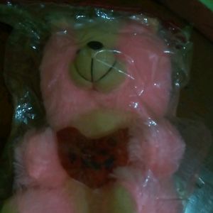 Cute Teddy Pink